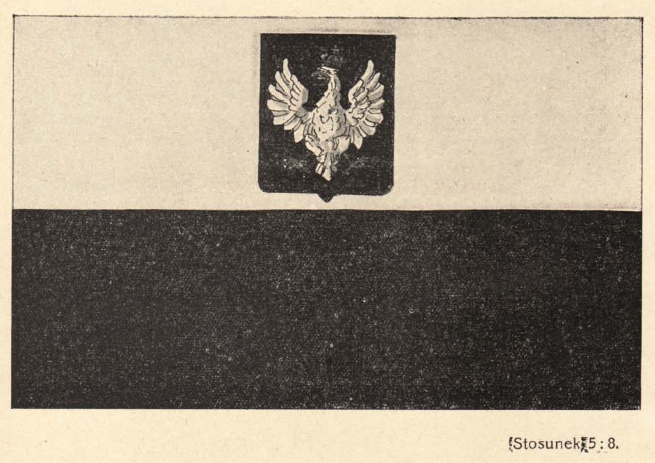 Flaga Polski z godłem na białym pasie obowiązująca w II RP Wzór nr 5 w załączniku do ustawy z dnia 1 sierpnia 1919 r. o godłach i barwach Rzeczypospolitej Polskiej flaga2